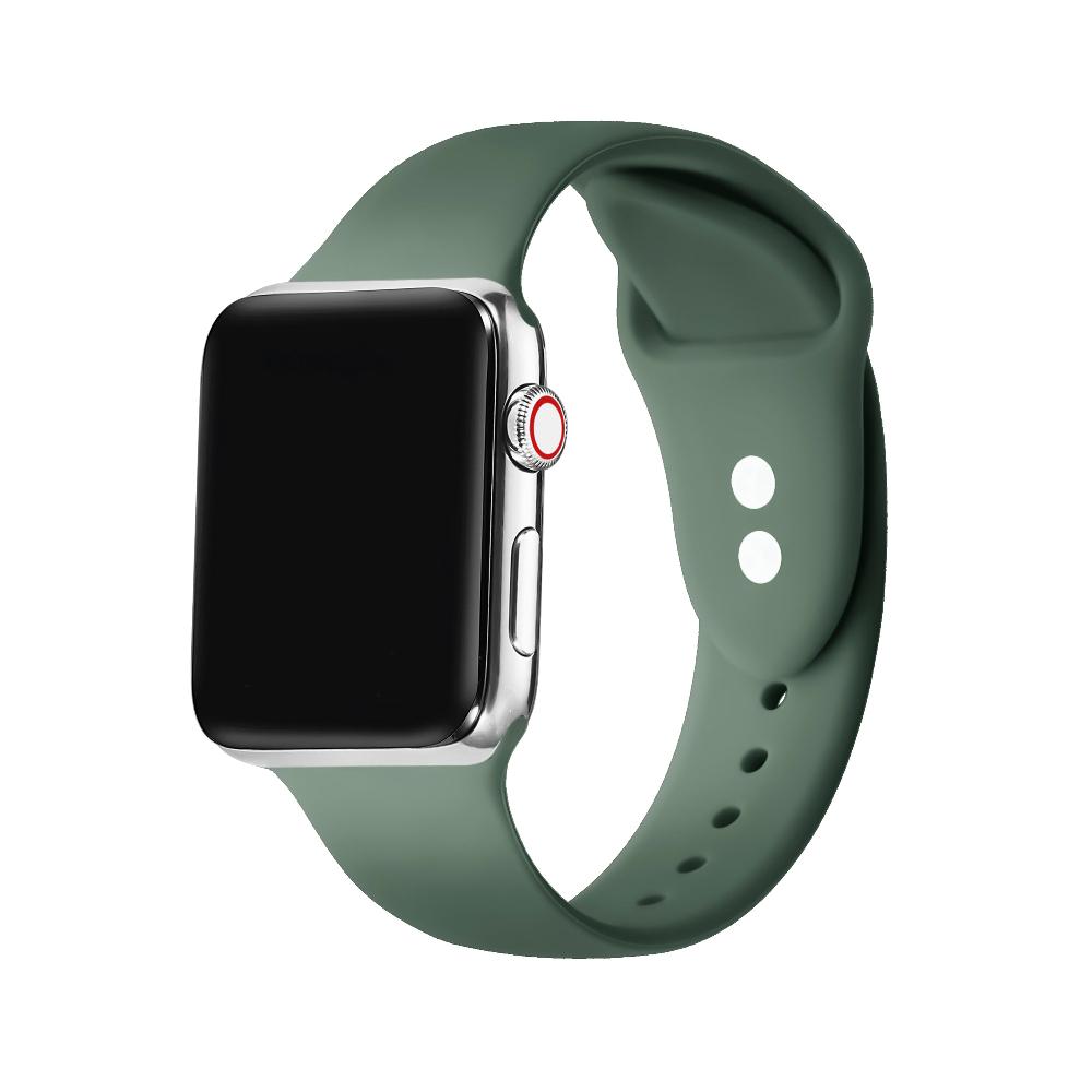 Silicone Band with Pins for Apple Watch