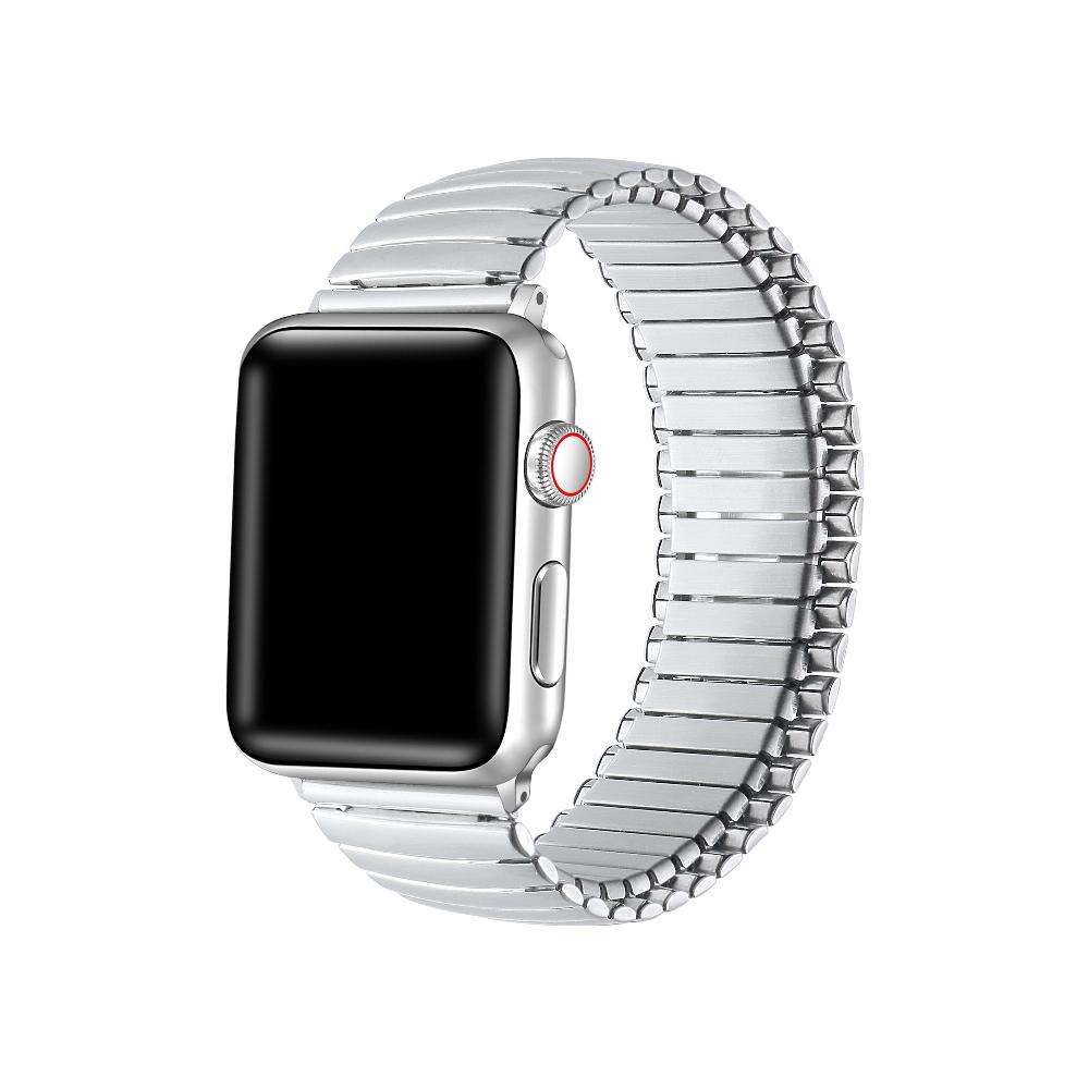  Slink Elastic Steel Band for Apple Watch